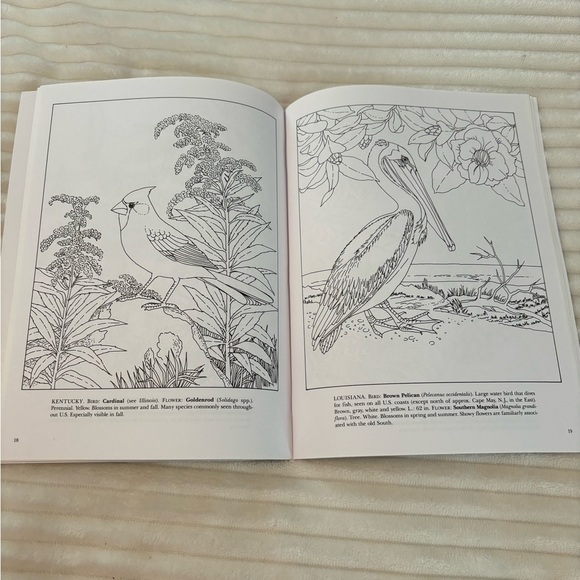 Set of 2 Vintage Coloring Books from Dover COLORING Book 1990 1993 Unused - Picture 9 of 14